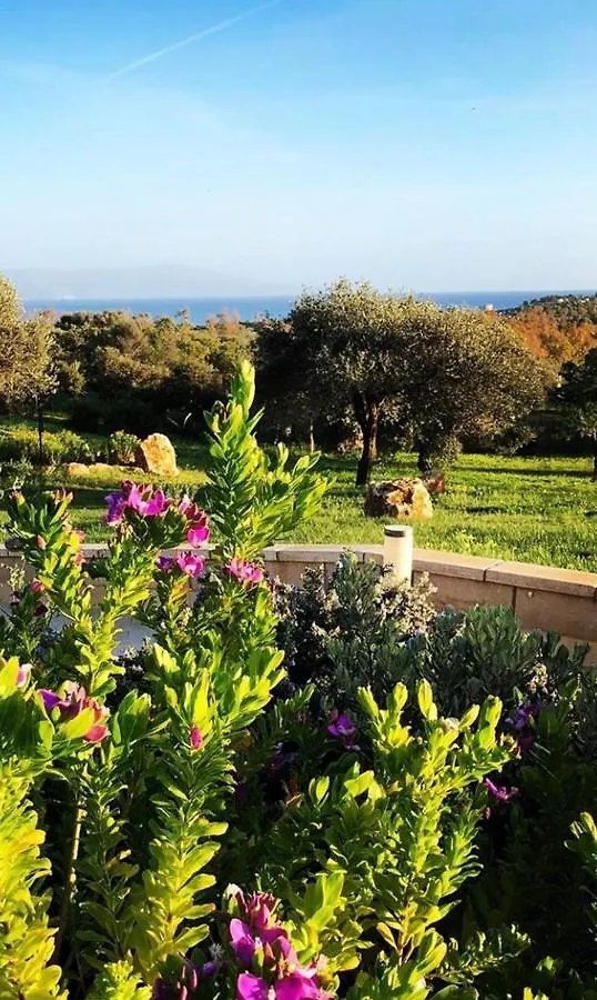 Cala Azul Residence B&B Alghero 0*,